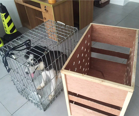 飞机托运